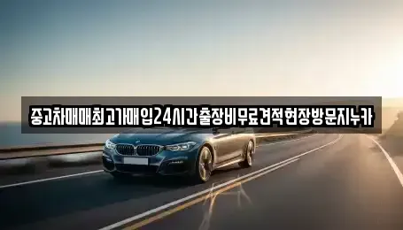 경기 시흥시 거모동 중고차매매 전문 중고차매매최고가매입24시간출장비무료견적현장방문지누카