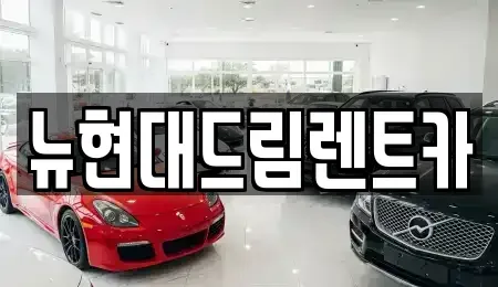 경기 안산시 상록구 장하동 렌트카 전문 뉴현대드림렌트카