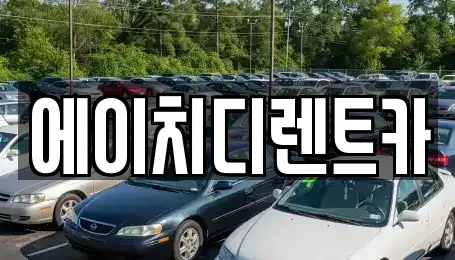 경기 안산시 상록구 장하동 렌트카 전문 에이치디렌트카