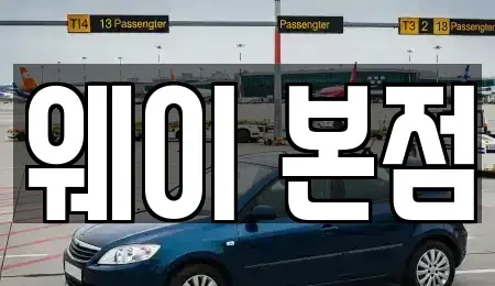 경기 안양시 만안구 안양동 단기렌트카 전문 웨이 본점