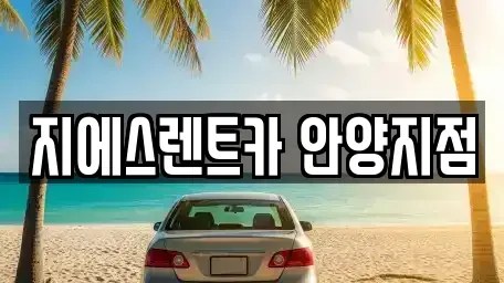 경기 안양시 만안구 안양동 렌트카 전문 지에스렌트카 안양지점