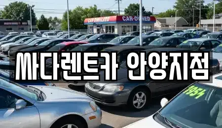 경기 안양시 만안구 안양동 장기렌트카 전문 싸다렌트카 안양지점