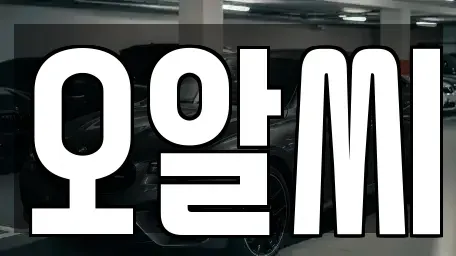 경기 안양시 만안구 안양동 장기렌트카 전문 오알씨