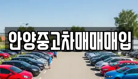 경기 안양시 만안구 안양동 중고차 전문 안양중고차매매매입