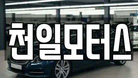 경기 안양시 만안구 안양동 중고차 전문 천일모터스