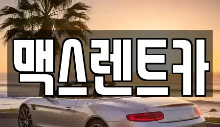 경기 용인시 기흥구 농서동 렌트카 전문 맥스렌트카