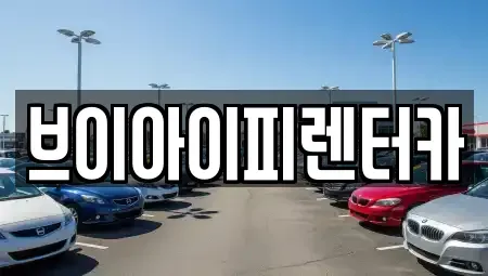 경기 용인시 기흥구 농서동 렌트카 전문 브이아이피렌터카