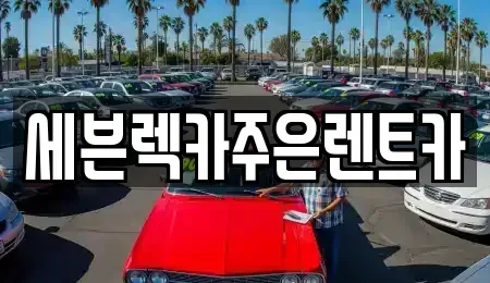 경기 용인시 기흥구 농서동 렌트카 전문 세븐렉카주은렌트카