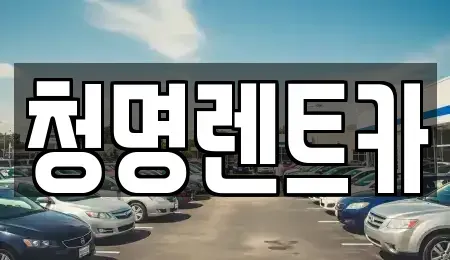 경기 용인시 기흥구 농서동 장기렌트카 전문 청명렌트카