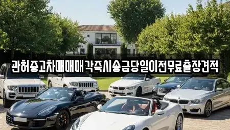 경기 용인시 기흥구 동백동 중고차 전문 관허중고차매매매각즉시송금당일이전무료출장견적