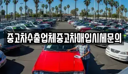 경기 용인시 기흥구 동백동 중고차매입 전문 중고차수출업체중고차매입시세문의