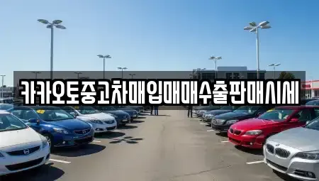 경기 용인시 기흥구 동백동 중고차매입 전문 카카오토중고차매입매매수출판매시세
