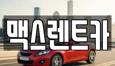 경기 용인시 처인구 김량장동 렌트카 전문 맥스렌트카