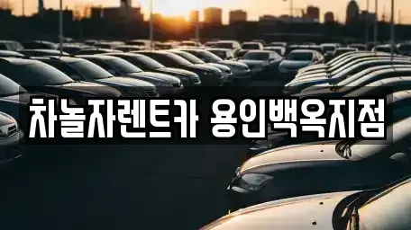 경기 용인시 처인구 김량장동 렌트카 전문 차놀자렌트카 용인백옥지점