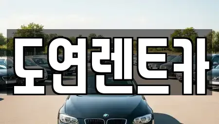 경기 의정부시 고산동 렌트카 전문 도연렌트카