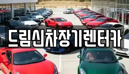 경기 의정부시 고산동 렌트카 전문 드림신차장기렌터카