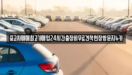경기 파주시 법원읍 중고차 전문 중고차매매최고가매입24시간출장비무료견적현장방문지누카