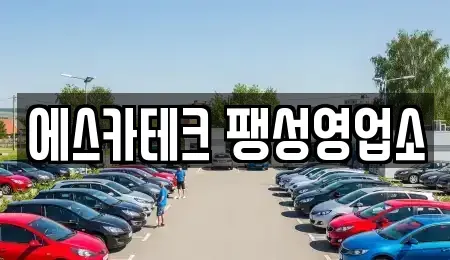 경기 평택시 용이동 렌트카 전문 에스카테크 팽성영업소