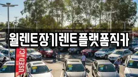 경기 평택시 용이동 렌트카 전문 월렌트장기렌트플랫폼직카