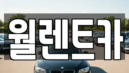 경기 평택시 용이동 렌트카 전문 월렌트카