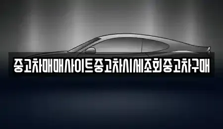 경기 평택시 용이동 중고차 전문 중고차매매사이트중고차시세조회중고차구매