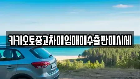 경기 평택시 용이동 중고차매입 전문 카카오토중고차매입매매수출판매시세