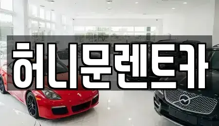 경기 포천시 자작동 렌트카 전문 허니문렌트카