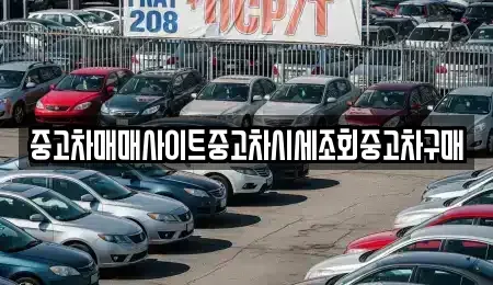 경기 포천시 자작동 중고차매매 전문 중고차매매사이트중고차시세조회중고차구매
