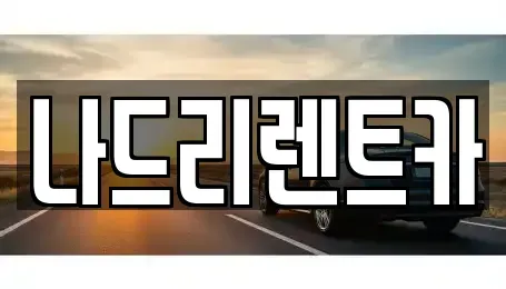 경기 하남시 천현동 장기렌트카 전문 나드리렌트카