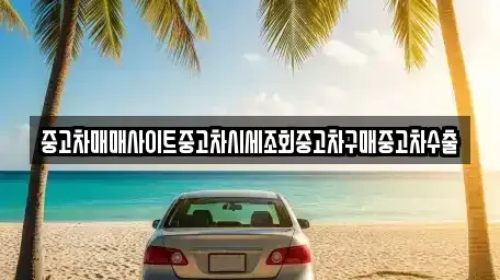 경기 하남시 천현동 중고차매매 전문 중고차매매사이트중고차시세조회중고차구매중고차수출