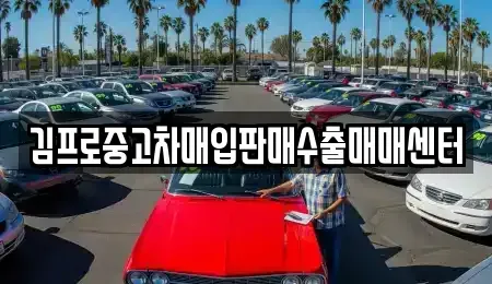 경기 하남시 천현동 중고차매입 전문 김프로중고차매입판매수출매매센터