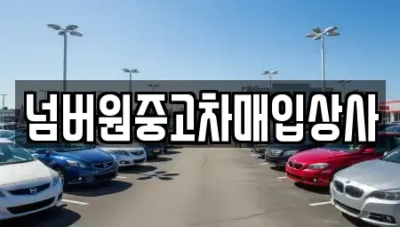 경기 하남시 천현동 중고차매입 전문 넘버원중고차매입상사