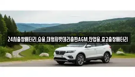 경기 화성시 방교동 중고차 전문 24시출장배터리,승용,대형차밧데리총판AGM,산업용,중고출장배터리