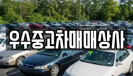 경기 화성시 방교동 중고차매매 전문 우수중고차매매상사