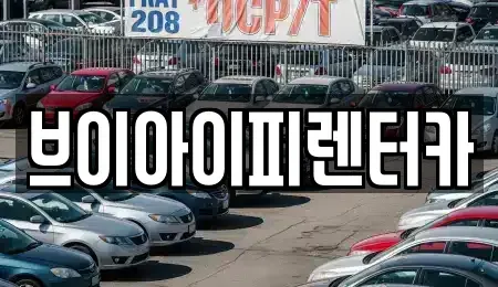 경기 화성시 장지동 렌트카 전문 브이아이피렌터카