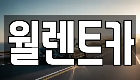경기 화성시 장지동 렌트카 전문 월렌트카