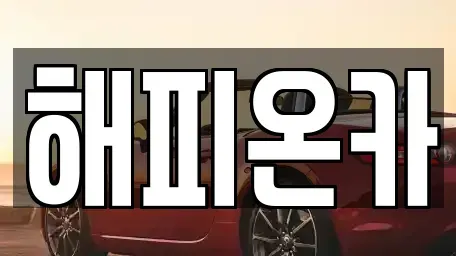 경기 화성시 장지동 중고차매매 전문 해피온카