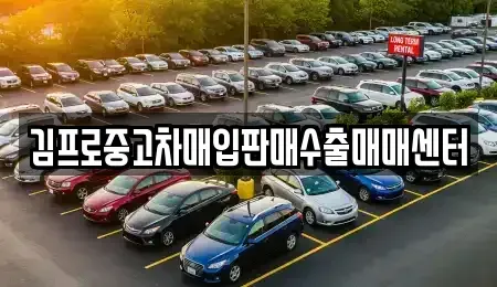 경기 화성시 장지동 중고차매입 전문 김프로중고차매입판매수출매매센터