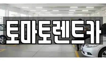 경기도 가평군 설악면 렌트카 전문 토마토렌트카