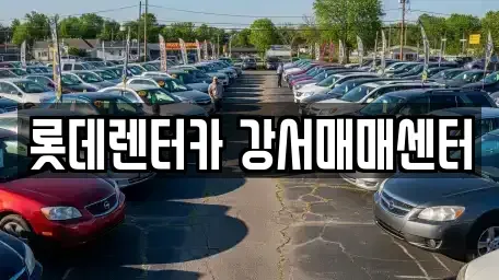 경기도 고양시 덕양구 덕은동 렌트카 전문 롯데렌터카 강서매매센터