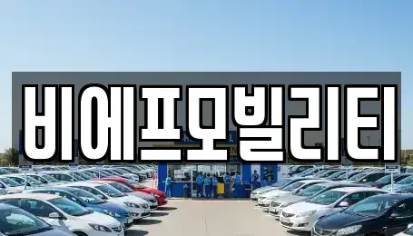 경기도 고양시 덕양구 덕은동 렌트카 전문 비에프모빌리티