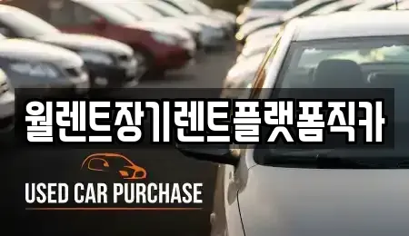 경기도 고양시 덕양구 덕은동 장기렌트카 전문 월렌트장기렌트플랫폼직카