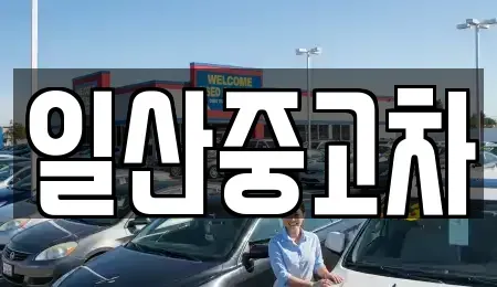 경기도 고양시 덕양구 덕은동 중고차매매 전문 일산중고차