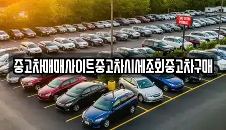 경기도 고양시 덕양구 덕은동 중고차매매 전문 중고차매매사이트중고차시세조회중고차구매