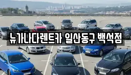 경기도 고양시 덕양구 신평동 단기렌트카 전문 뉴가나다렌트카 일산동구 백석점