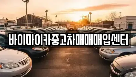 경기도 고양시 덕양구 신평동 중고차매매 전문 바이마이카중고차매매매입센터