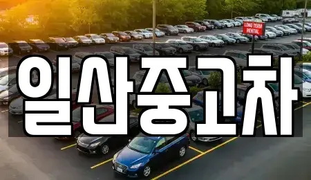 경기도 고양시 덕양구 신평동 중고차매매,단기렌트카,중고차매입,장기렌트카,중고차,렌트카