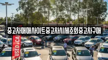 경기도 고양시 덕양구 신평동 중고차매매 전문 중고차매매사이트중고차시세조회중고차구매