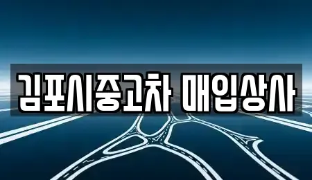 경기도 고양시 덕양구 신평동 중고차매입 전문 김포시중고차 매입상사