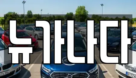 경기도 고양시 덕양구 원흥동 렌트카 전문 뉴가나다